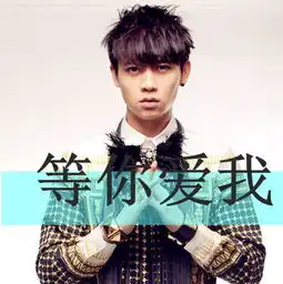 谁有关于魏晨的头像,有字的
