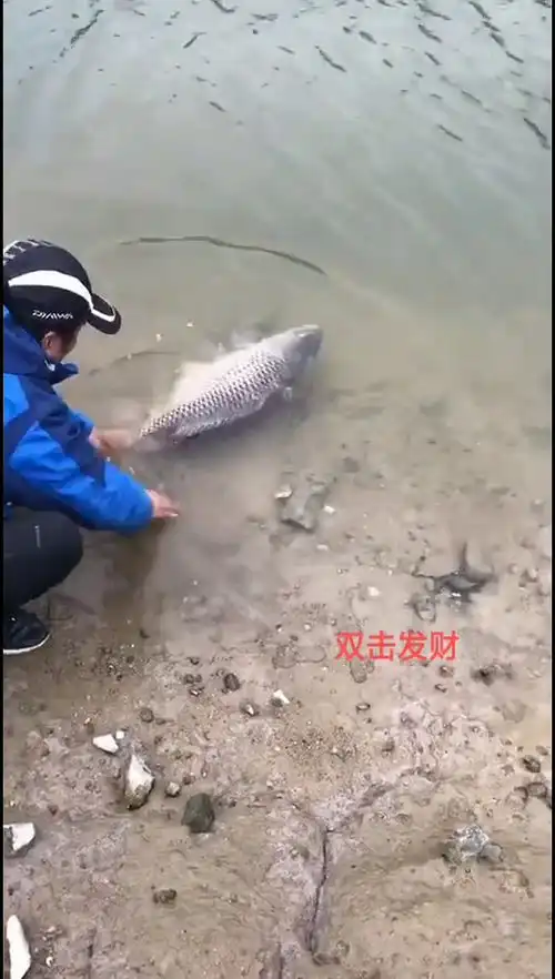 钓鱼的乐趣不在于吃鱼
