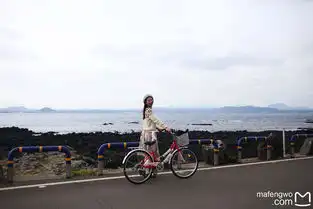 我带上你,你带上美,周末一起浪迹jeju
