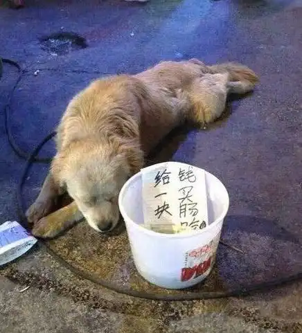 搞笑图片妹子,你这舌头这么长擦脸逗不用手了

