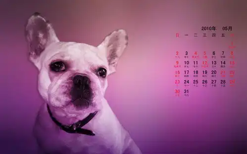 2010年5月动物宽月历2
