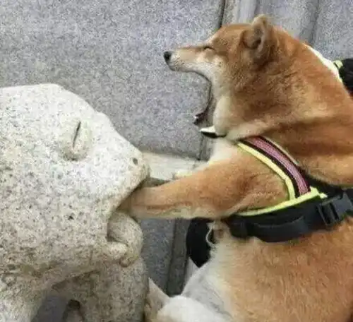 搞笑让你一看就有好心情的图片
