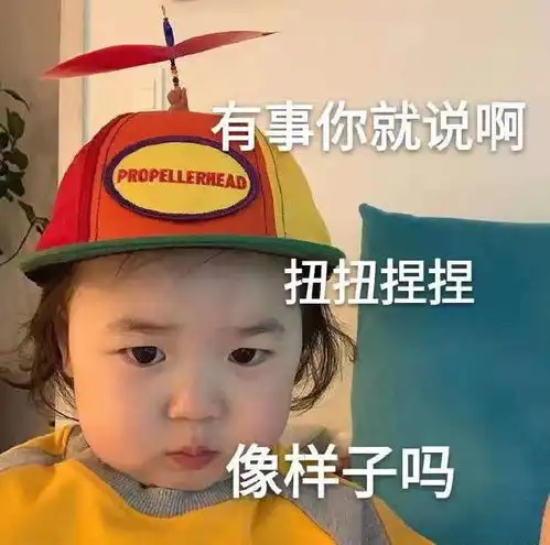 搞笑gif蚊帐里的蚊子都没吸到血,还敢说没出去玩
