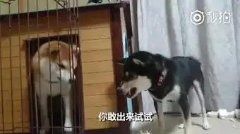 原来路标是这么涂抹出来的全程我看得有点舒服
