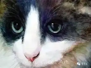 这多只绘画的猫咪,请问你喜欢哪只
