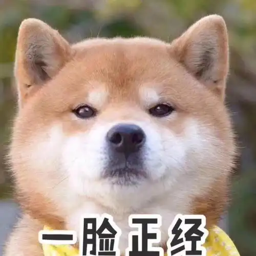 为了省钱你干过什么搞笑沙雕事网友哈哈哈,都是人才
