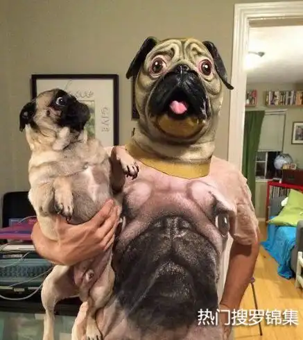 搞笑段子不要抱怨你的队友坑,可能还不是小学生
