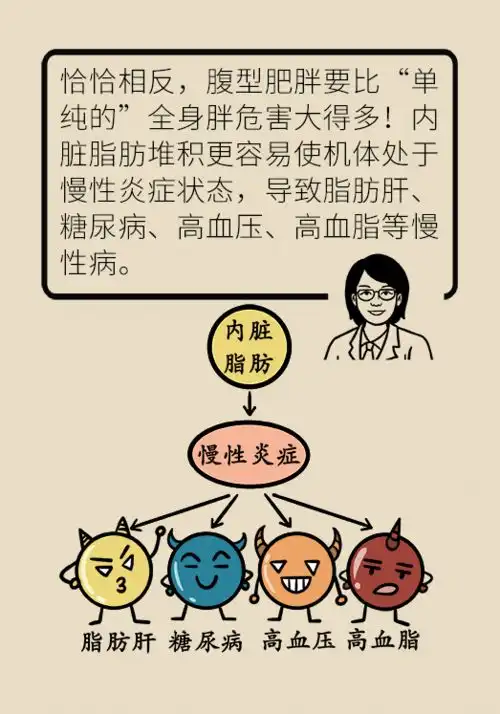 腹型肥胖很危险科学方法教你减掉将军肚,逆转三高
