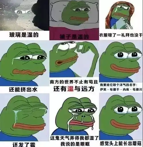 颤抖吧个旧人接下来都是雨雨雨雨雨
