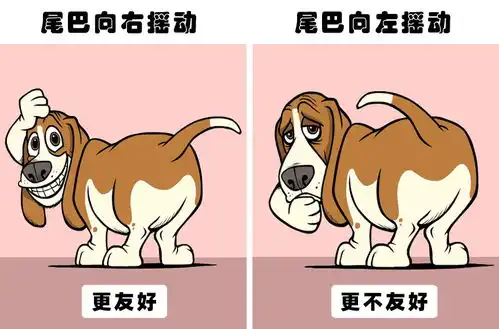 关于动物的8个有趣的冷知识大多数人或许都没有听说过
