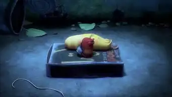 土豆视频
