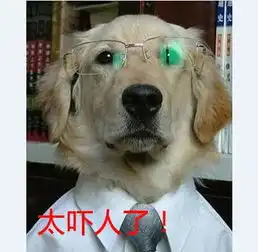 新闻哥妹纸,你究竟想要什么
