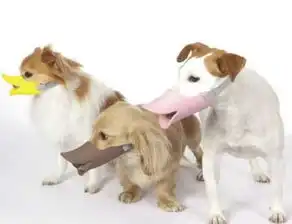 是科技还是滑稽这9大发明你怎么看
