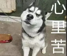 捡屎官的爱如山体滑坡,狗生真的好艰难

