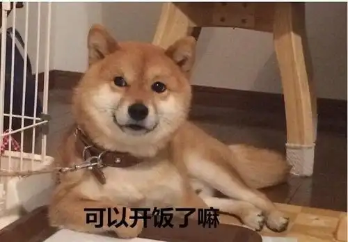 搞笑表情包图片逗你乐,我是认真的
