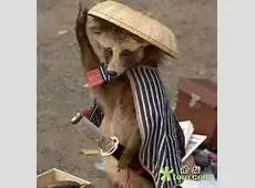 要几张搞笑点的图片,不要猥琐的
