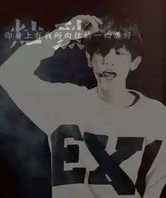 灿烈exo文字壁纸
