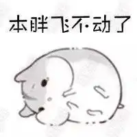 搞笑段子老婆特别二,昨天被家里养的狗给咬了,这货居然不生气
