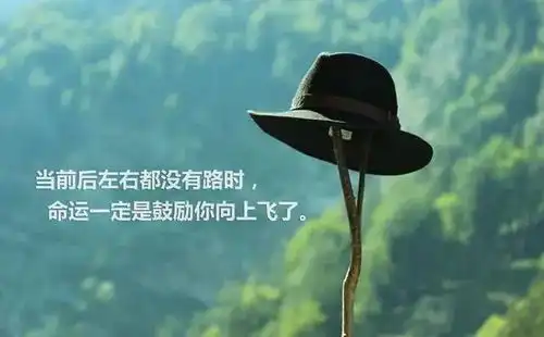 记住一句话酸甜苦辣,勇往直前,共勉,早安生活
