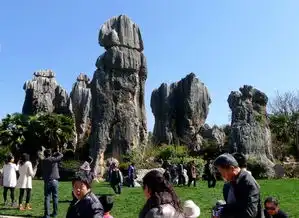 2012春节初四游阿诗玛的故乡一云南石林
