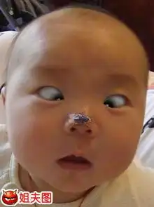 麻麻,我鼻子上有只苍蝇姐夫图搞笑图堆糖,美好生活研究所
