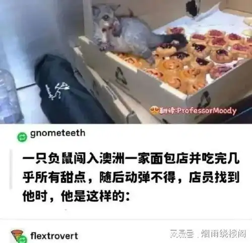 搞笑趣图女生会馋男生的身子吗
