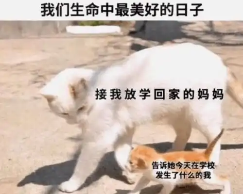 爆笑有趣的搞笑图片分享给你们,希望你们能够开心快乐

