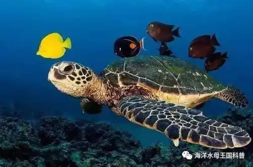 遵化市搞的海洋水母王国太逆天了门票还是免费的
