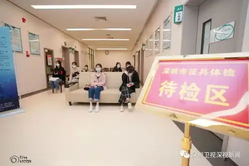 谁说深圳女孩只想搞钱为了这个梦想,她们更拼
