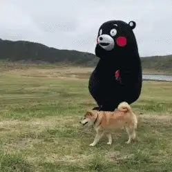 海外航司裁员倒闭潮齐现
