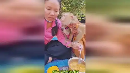 馋死猴哥啦搞笑神奇动物在

