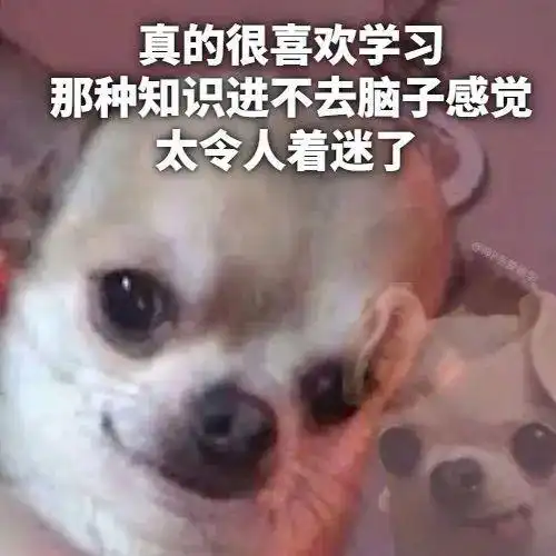 真的很喜欢看这种搞笑图,有一种在身上安装摄像头的感觉
