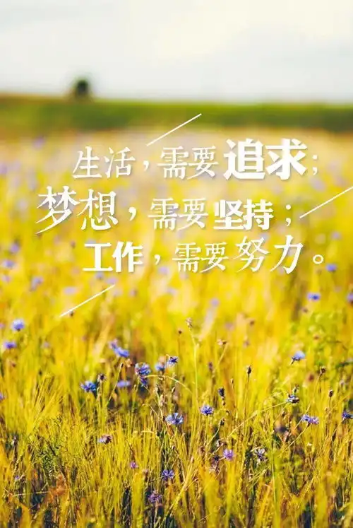 6月2日早安心语正能量很火的经典语录微信朋友圈早上好正能量图片带字
