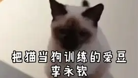 搞笑解说倚天屠龙记混元霹雳手成昆变身爆破鬼才,周芷若不敌黄衫女一招被秒
