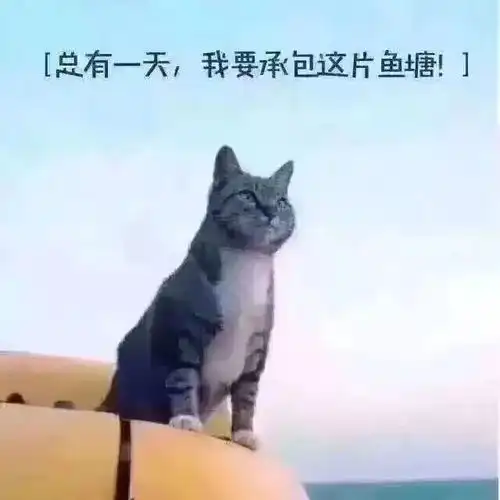 早安简短一句话语录励志正能量
