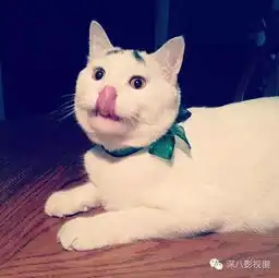 我在一块刻着坚贞二字的山石边上做出坚贞的表情
