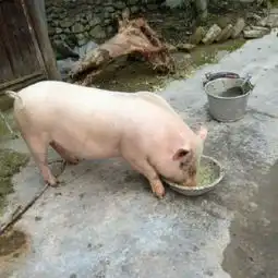 讨厌一个人
