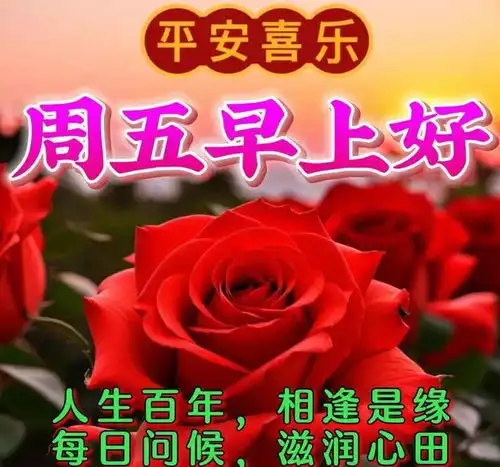 2024年4月5日星期五早上好问候祝福动态表情图片大全周五最新早安问候语动态图片表情
