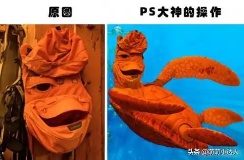 搞笑趣图盘点那些国外网友的搞笑ps
