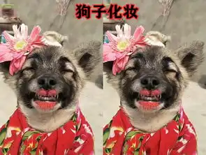 狗子也来作人妖汉服,化妆忍了,滑板这条街最靓的gai

