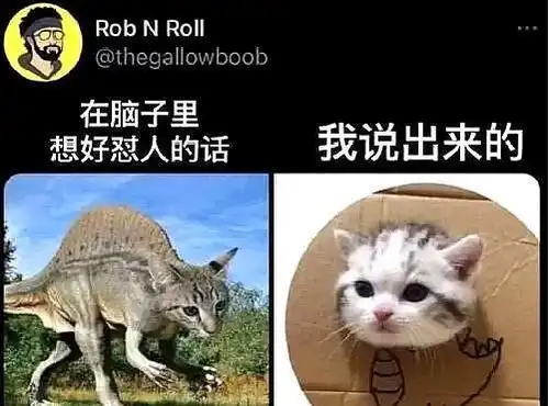 给你们我最珍藏的搞笑图片,工作太难了,哈哈哈哈
