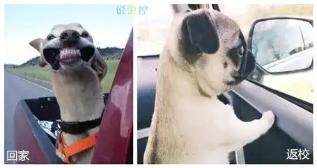 幽默图片搞笑图片带字搞笑图片带字的图

