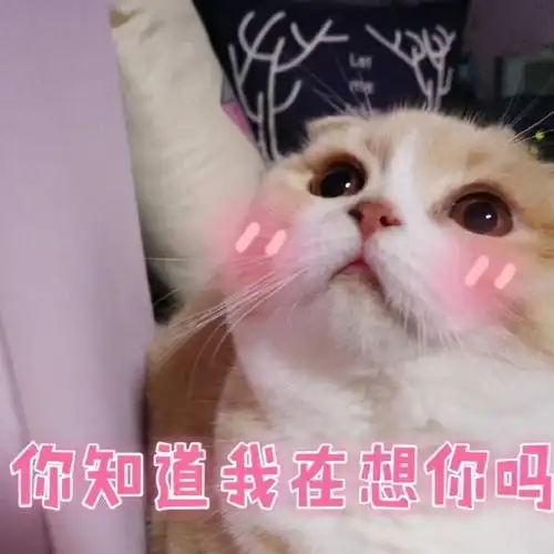 十条段子那先生说让你买单,他有事先走了
