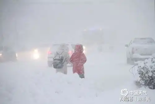 惹不起这波北极寒流终于要收尾了
