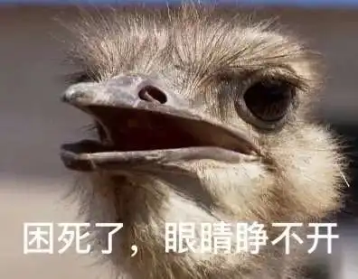 搞笑速来查收这组鸵鸟表情包搜狐搞笑搜狐网
