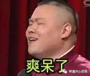 k歌比赛沙滩排球水上竞技喝着啤酒搓麻将,这才是酷热夏天正确的打开方式嘛
