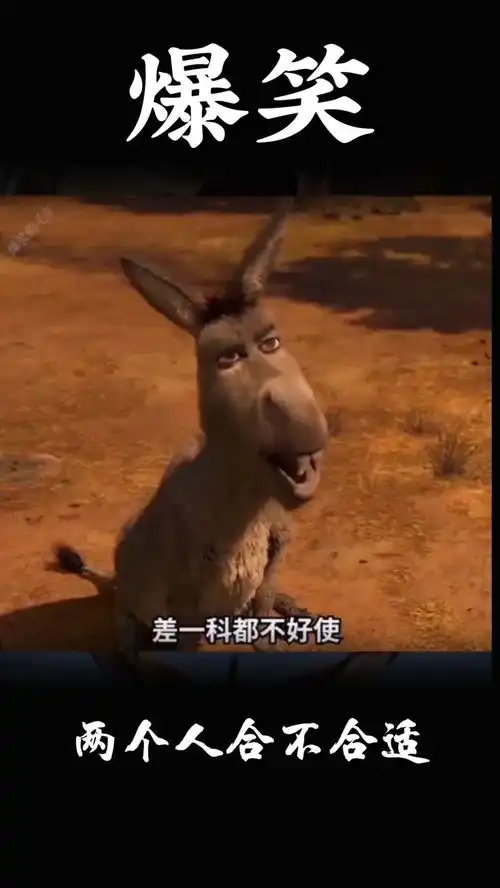 爆笑段子驴哥
