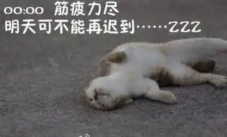 新闻哥芈月传看得不要媳妇了2016.01.13
