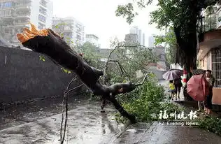 强对流天气袭击福建瞬时风力堪比台风

