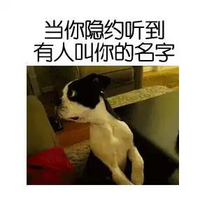 自作自受离开申花的沙拉维面临三无,还得瑟吗
